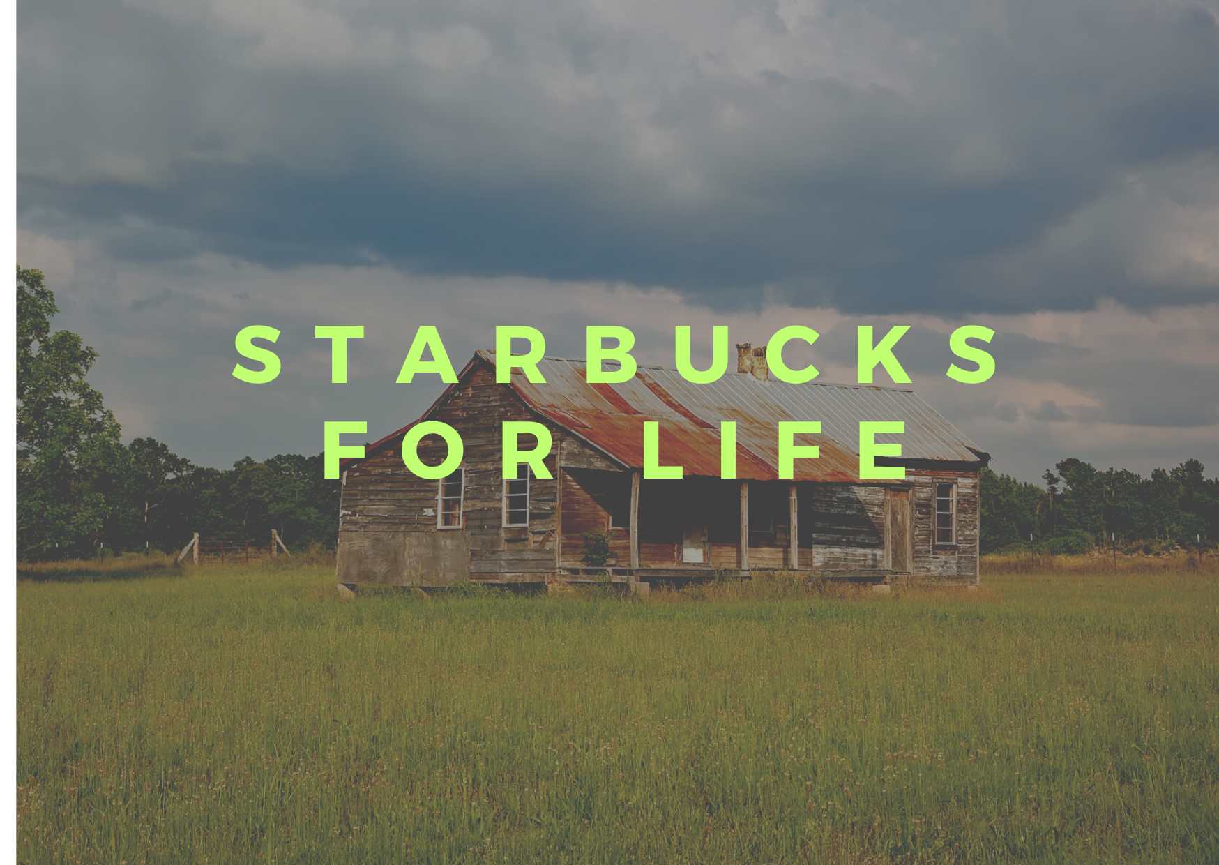 Starbucks for Life The Ultimate Dream of Coffee Lovers