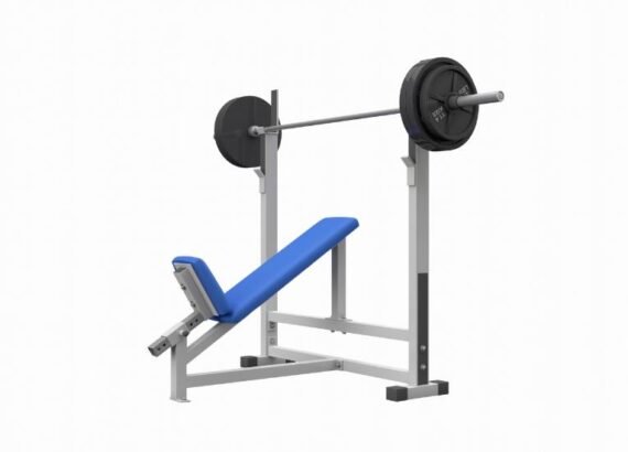 Weight Bench